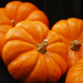 Pumpkin