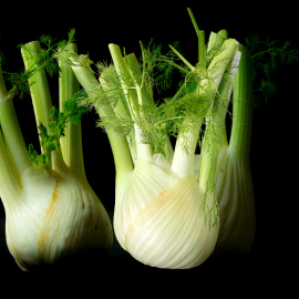 Radish