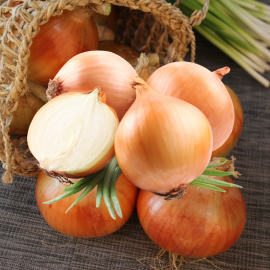 WHITE ONION