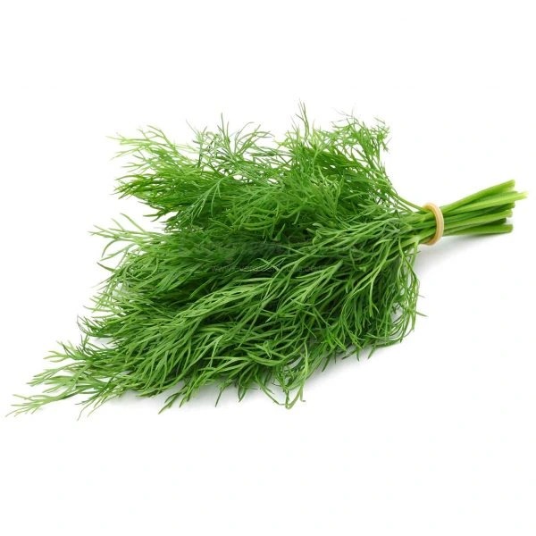 Dill