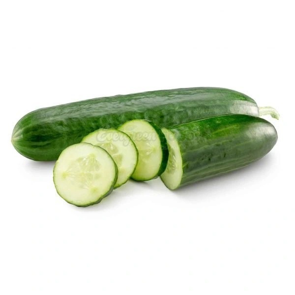Cucumber