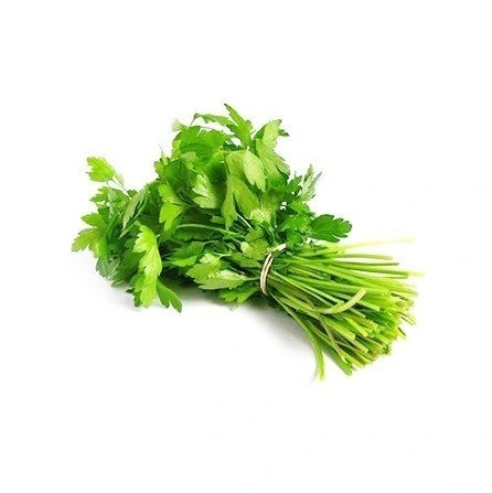 Fresh coriander
