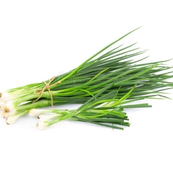 Spring Onion Bunch