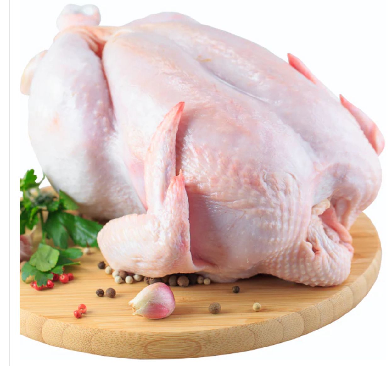 Baby chicken £4.99 each